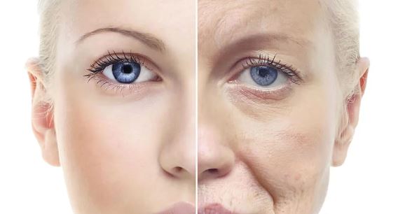 Sunlight and Skin: Unveiling the Secrets of Ageless Beauty